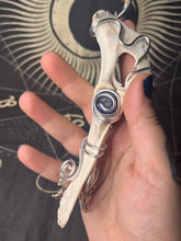 Load image into Gallery viewer, Lapis lazuli sheep pelvic bone wall hanging