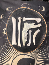 Load image into Gallery viewer, Multi bone wood slice wall hanging