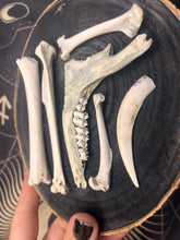 Load image into Gallery viewer, Multi bone wood slice wall hanging