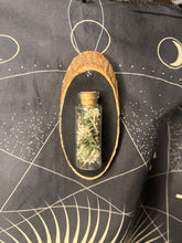 Load image into Gallery viewer, Multi rodent bones jar wood slice wall hanging