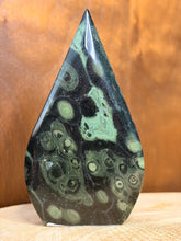 Load image into Gallery viewer, Kambaba jasper shield