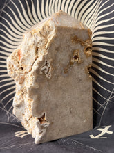Load image into Gallery viewer, Coral Fossil Jasper tower