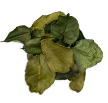 Load image into Gallery viewer, Lime Leaves - MoonChild apothecary jar - Aura cleansing.Purification.Dispel Negativity