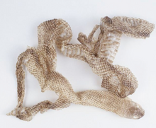 Load image into Gallery viewer, Snake shed (naturally shed) - MoonChild apothecary jar - Truth.Hex Removal.Protection