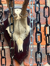 Load image into Gallery viewer, Stainless steel chunky punk chain choker necklace - The MoonPunkMagick Collection