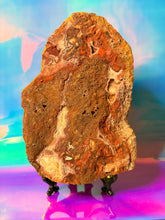 Load image into Gallery viewer, Mexican crazy lace agate raw
