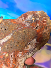 Load image into Gallery viewer, Mexican crazy lace agate raw

