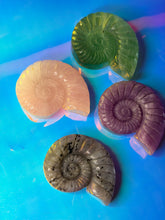 Load image into Gallery viewer, Shell crystal carvings
