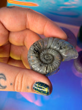 Load image into Gallery viewer, Shell crystal carvings
