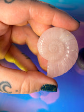 Load image into Gallery viewer, Shell crystal carvings
