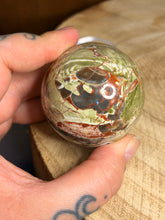 Load image into Gallery viewer, Money agate sphere
