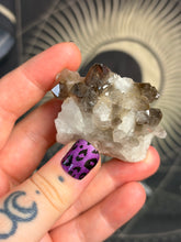 Load image into Gallery viewer, Smoky Quartz Cluster
