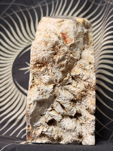 Load image into Gallery viewer, Coral Fossil Jasper tower
