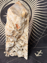 Load image into Gallery viewer, Coral Fossil Jasper tower
