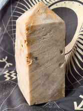 Load image into Gallery viewer, Coral Fossil Jasper tower
