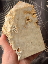 Load image into Gallery viewer, Coral Fossil Jasper tower
