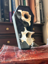 Load image into Gallery viewer, Taxidermy real animal bone gothic coffin double spell candle holder
