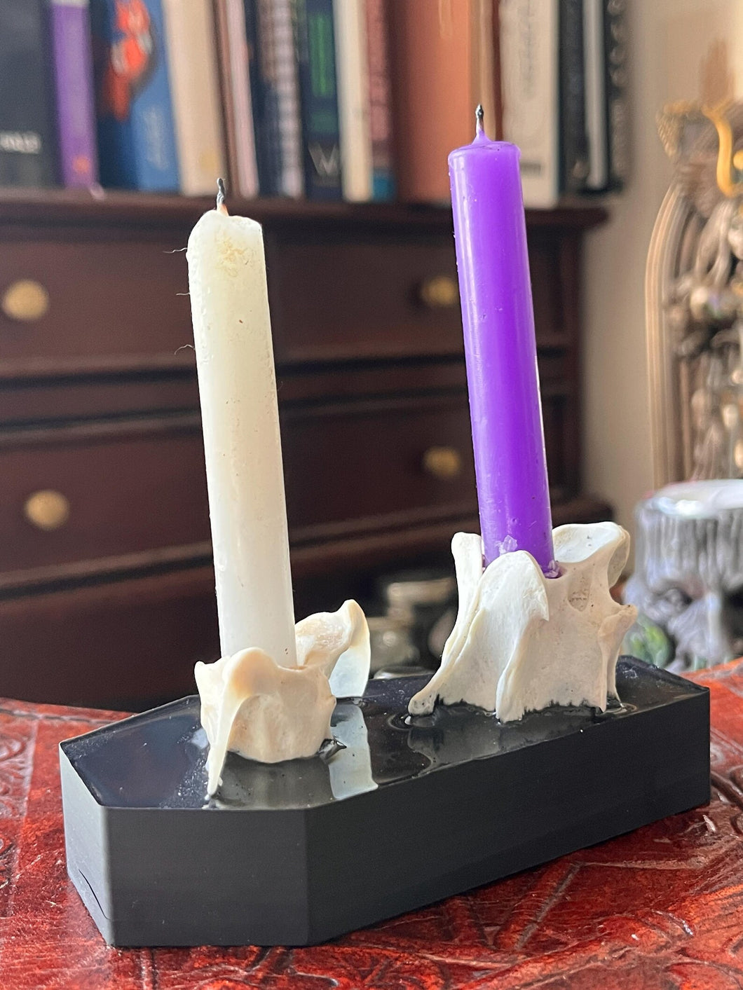 Taxidermy real animal bone gothic coffin double spell candle holder